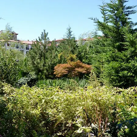 Aparthotel Apartcomplex Esteban