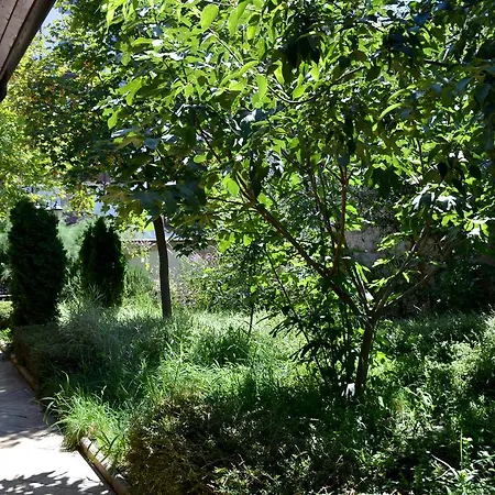 شقة فندقية Apartcomplex Esteban نيسيبار